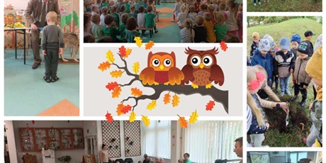 Dzień Drzewa